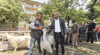 Orhaneli'de Kurban Bayramı Öncesi Hayvan Pazarı Ziyareti