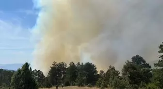 Bursa'da Orman Yangınına Hava ve Kara Müdahalesi