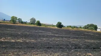 Bursa'da Tarlada Yangın: İtfaiye Ekipleri Müdahale Etti
