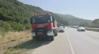 Gemlik'te Zeytinlikte Yangın Çıktı