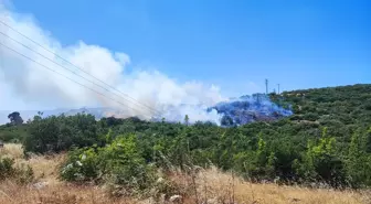 Bursa'da Orman Yangınına Havadan ve Karadan Müdahale