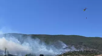 Bursa'nın Yenişehir İlçesinde Orman Yangını