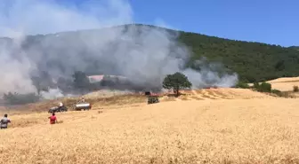 Bursa'da Ormana Sıçrayan Anız Yangınına Müdahale Başlatıldı