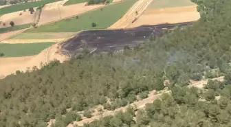 Bursa'nın Yenişehir İlçesinde Tarla Yangını Kontrol Altına Alındı