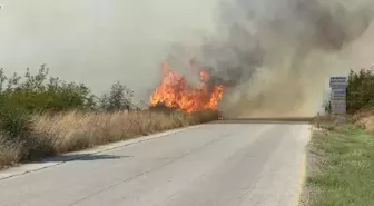 Çanakkale'de Tarım Arazisinde Yangın Çıktı