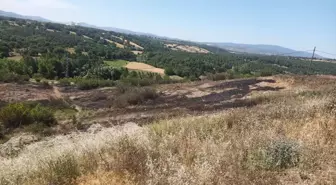 Çanakkale'de Karganın Neden Olduğu Yangın Kontrol Altına Alındı