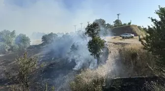 Çanakkale'de Otluk Alanda Yangın Söndürüldü