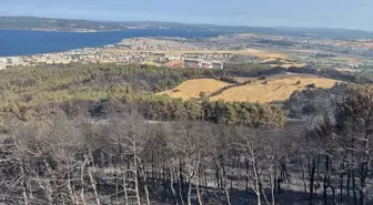 Çanakkale'de Yangınla Mücadele 2. Gününde