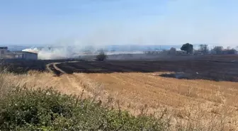 Çanakkale'de Anız Yangını Kontrol Altına Alındı