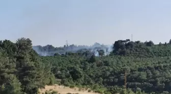 Çanakkale'nin Ayvacık İlçesinde Orman Yangını Kontrol Altına Alındı