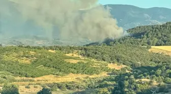 Çanakkale'nin Bayramiç İlçesinde Orman Yangını Söndürüldü