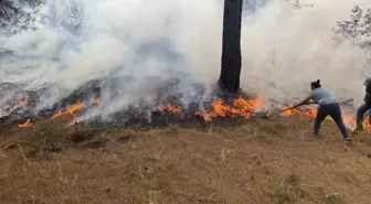 Çanakkale'de Orman Yangınına Hava ve Kara Müdahalesi