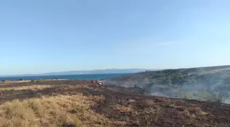 Çanakkale'de Yangın: 250 Dönüm Tarım Arazisi Zarar Gördü