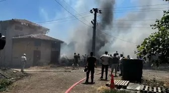 Çanakkale Biga'da Depo Yangını: Hayvanlar Kurtarıldı