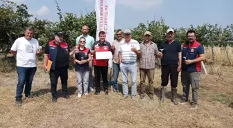 Çanakkale'de Kahverengi Kokarca ile Mücadele İçin Samuray Arıları Salındı