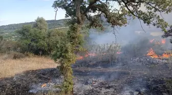 Çanakkale Ayvacık'taki Yangın Kontrol Altına Alındı