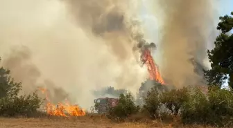 Çanakkale'nin Ezine İlçesinde Orman Yangınına Havadan ve Karadan Mücadele