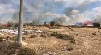 Çanakkale'de Otluk Alanda Yangın Kontrol Altına Alındı
