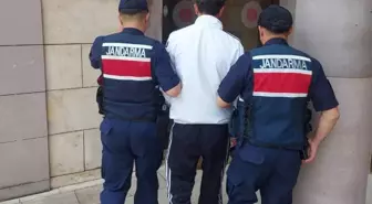 Çanakkale'de Orman Yangınlarına Sebep Olan 6 Şüpheliye Adli İşlem
