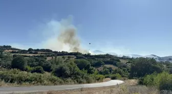 Çanakkale'de Tarım Alanında Yangın Çıktı