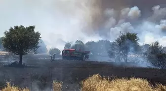 Çanakkale'nin Ezine İlçesinde Tarım Arazisinde Yangın