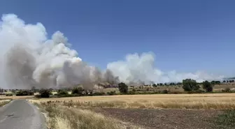 Çanakkale'de Tarım Arazisinde Yangın Kontrol Altına Alındı