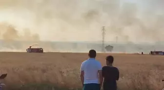Biga'da Tarım Arazisinde Yangın Kontrol Altına Alındı