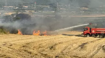 Çanakkale'de Tarım Arazisinde Yangın Çıktı