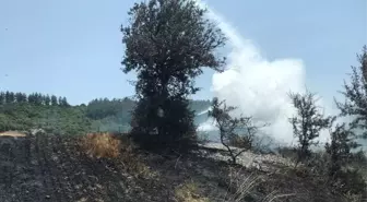 Gelibolu'da Tarım Arazisinde Yangın Kontrol Altına Alındı