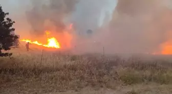 Çanakkale'de Tarım Arazisinde Yangın Çıktı