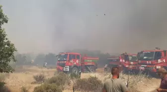 Çanakkale'deki Tarım Arazisinde Yangın: Hava ve Kara Müdahalesi Başlatıldı
