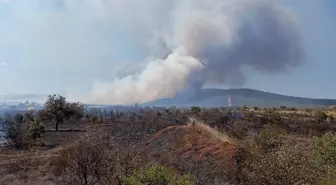 Çanakkale'de Tarım Arazisinde Yangın Çıktı