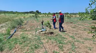 Çanakkale'de Tarımsal Sulama Elektrik Abonelikleri Denetleniyor