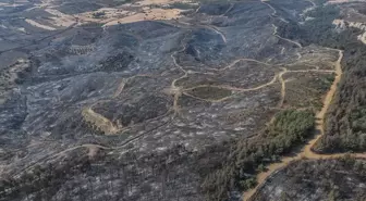 Çanakkale'de Kontrol Altına Alınan Orman Yangını İnceleniyor