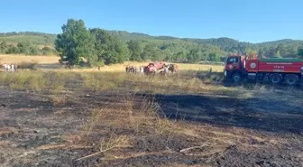 Çanakkale Yenice'de Tarım Arazisinde Yangın Çıktı