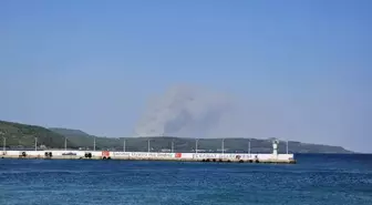 Çanakkale Gelibolu'da Yangın: Havadan ve Karadan Mücadele Başlatıldı