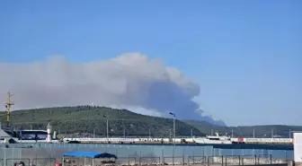 Çanakkale Gelibolu'da Orman Yangını: 5 Köy Tahliye Edildi