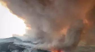 Çanakkale'de Orman Yangınına Hava ve Karadan Müdahale