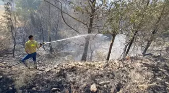 Çanakkale'deki Yangınla İlgili Ekipler Çalışmalarını Sürdürüyor