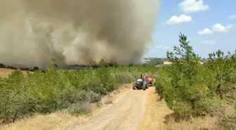 Çanakkale'de Orman Yangını: Yangına Hava ve Karadan Müdahale