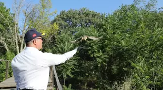 Çanakkale Valisi Kuşları Doğaya Döndürdü