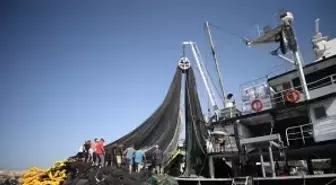 Çanakkale'de Yeni Balıkçılık Sezonu Açıldı