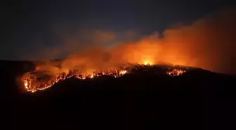 Çankırı'da Yeniden Orman Yangını Başladı