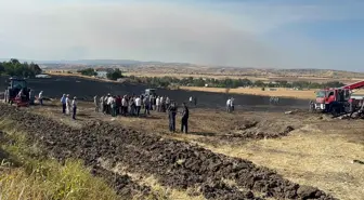 Çankırı'da Yangın: 100 Dekar Arazi Zarar Gördü, Çok Sayıda Hayvan Telef Oldu