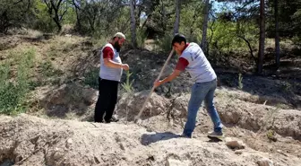 Çankırı Belediyesi'nden Fidan Dikme Projesi