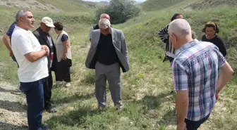 Yeni Keşfedilen Bitki Türü 'Dorycnium vuralii' Bölge Halkına Tanıtıldı