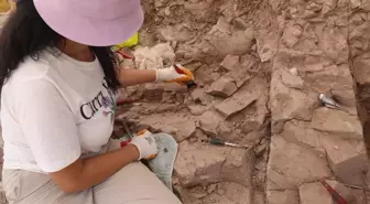 Çankırı'da Fosil Kazıları Başladı