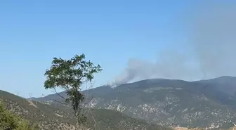Ilgaz'da Orman Yangınına Müdahale Başladı