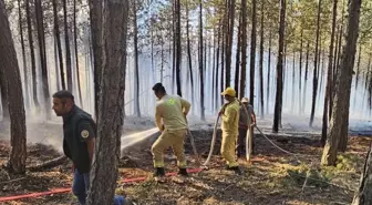 Çankırı'daki Orman Yangını Kontrol Altına Alındı