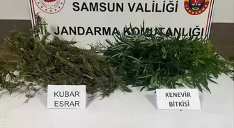 Samsun'da Uyuşturucu Operasyonu: 1 Şüpheli Gözaltında